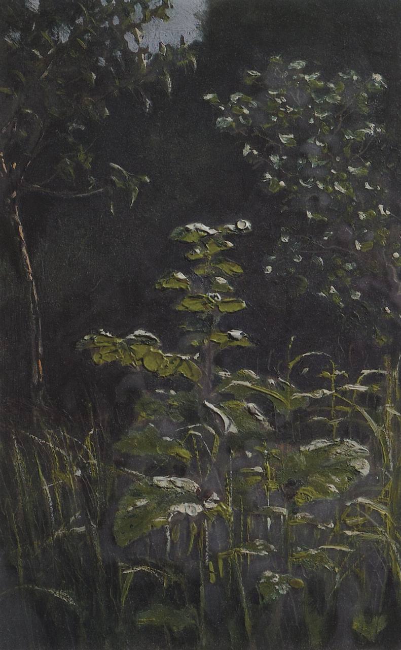 К записи «Лес. Лопухи (1898-1908)», снимок 1 из 1